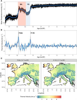 Climate and dispersal limitation drive tree species range shifts in post-glacial Europe: results from dynamic simulations